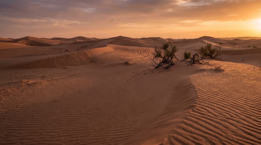 Abu Dhabi Desert Safari