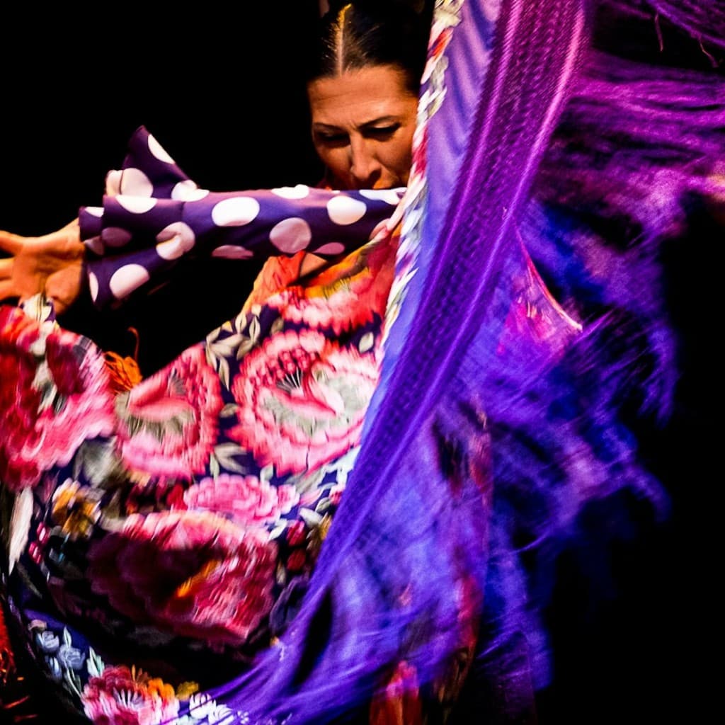 Flamenco Dance Museum - Show Only