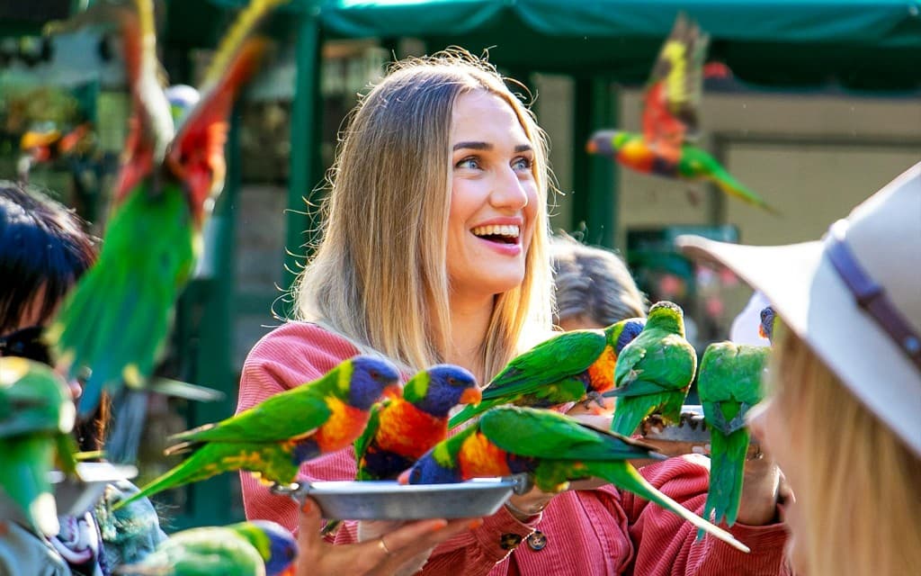 Currumbin Wildlife Sanctuary Tickets (General Entry Tickets)