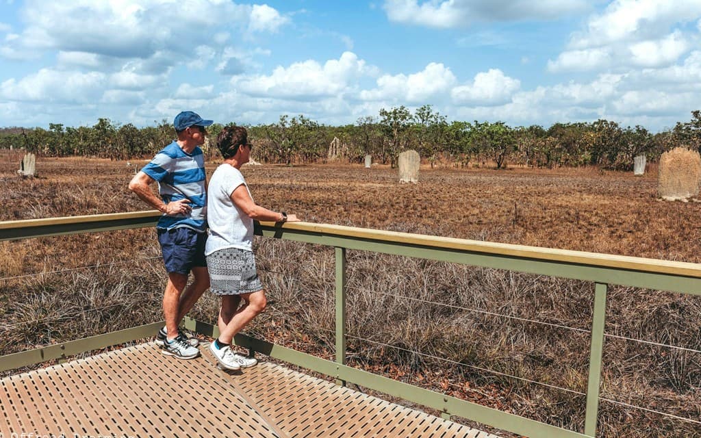 From Darwin: Litchfield & Waterfalls Tour with Transfers (Litchfield Day Tour from Darwin with Offroad Dreaming)