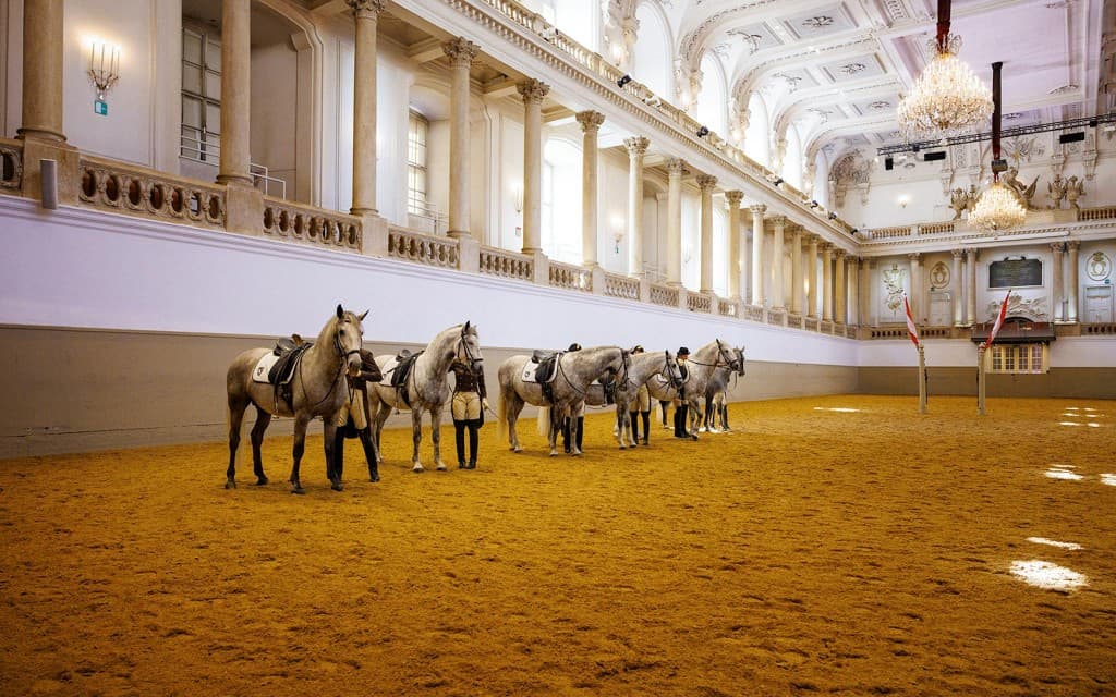 Morning Exercise with Music (Category 3 Standing (Right))
