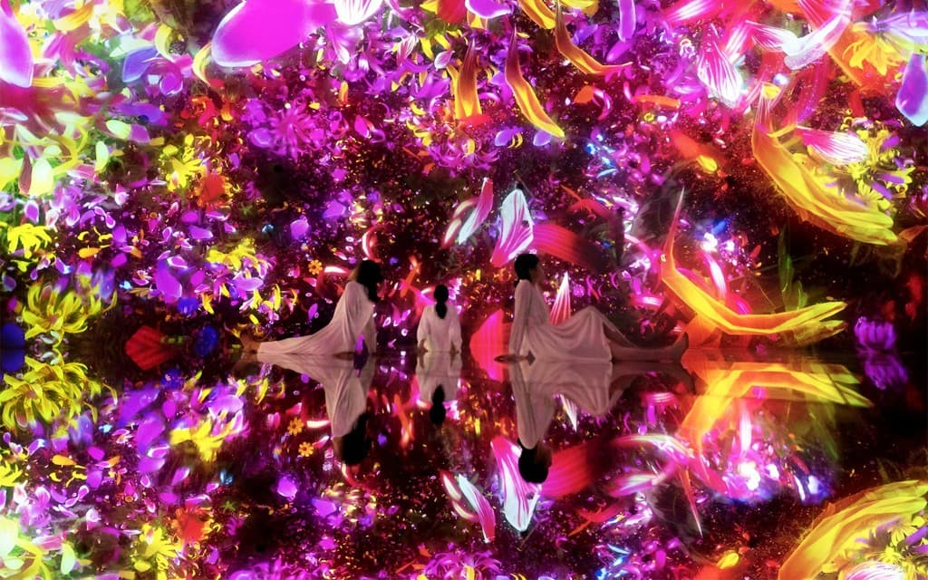 teamLab Planets Skip-the-Line Tickets [Premium Pass] (teamLab Planets Premium Pass)