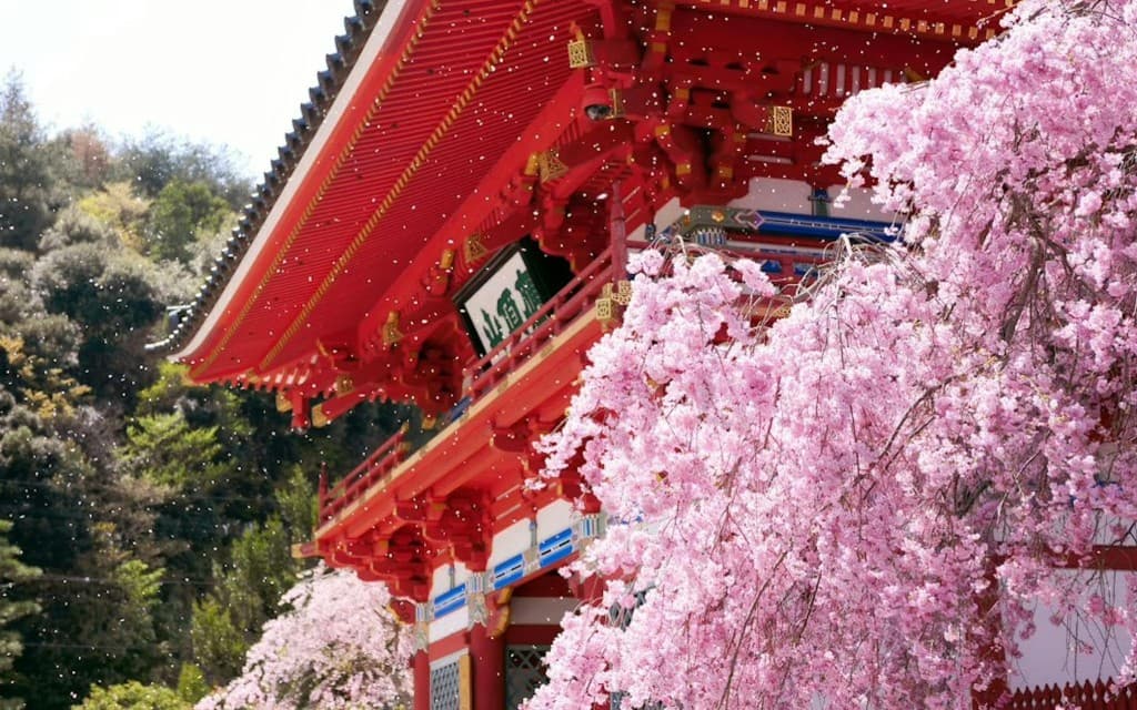Katsuo-ji Temple Tickets (Katsuo-ji Temple Entry Ticket)