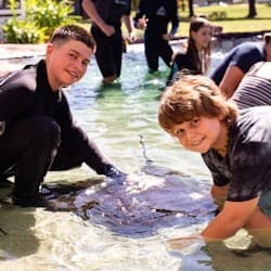 Irukandji Shark & Ray Encounters