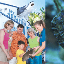 Key West Aquarium: Entry Ticket
