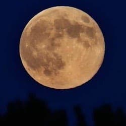 Key West Ghost & Mysteries Tour