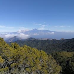 La Gomera Day Trip From Tenerife