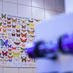 Loop Escape Room INFINITUM