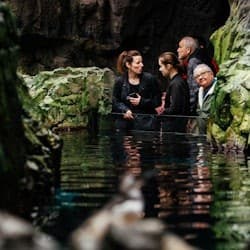 Oceanário de Lisboa: Guided Tour
