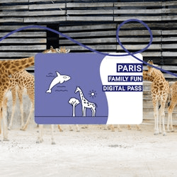 Paris Family Fun Pass