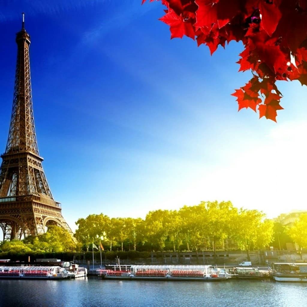 Paris: Roundtrip by Bus