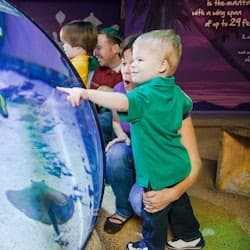 San Antonio Family Fun Pass