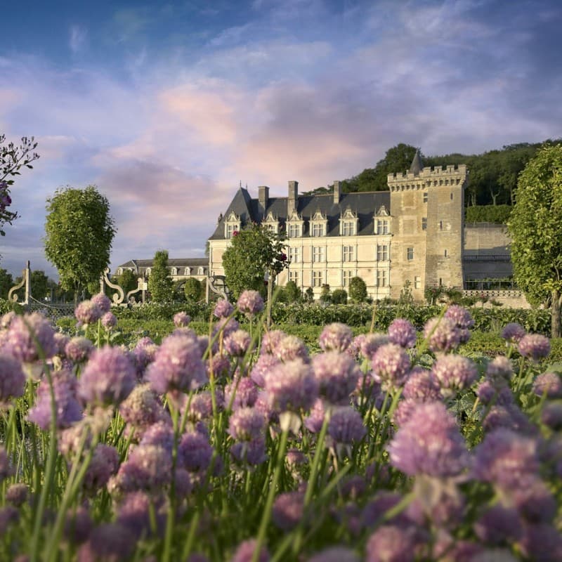 Château de Villandry Ticket