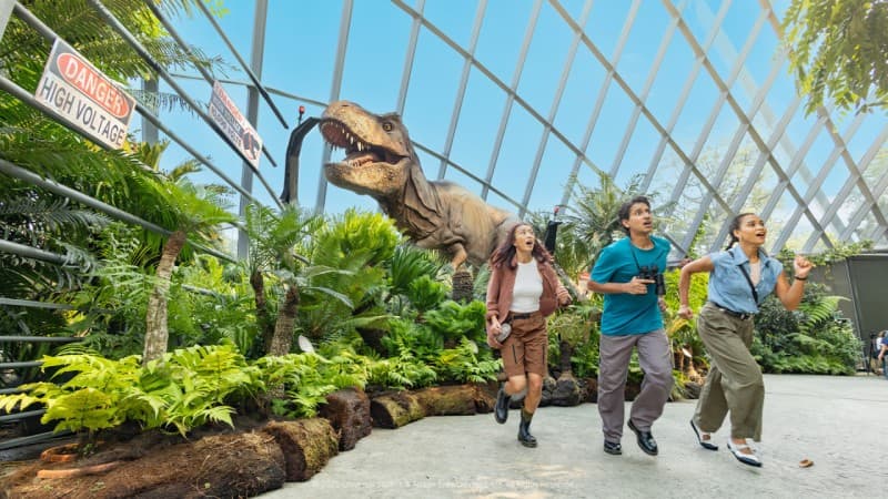 COMBO: Gardens by the Bay + Marina Bay Sands SkyPark Observation Deck Tickets
