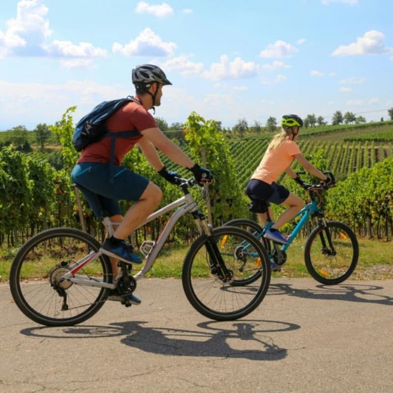 Florence Bike Tours: Explore the Renaissance City on Two Wheels