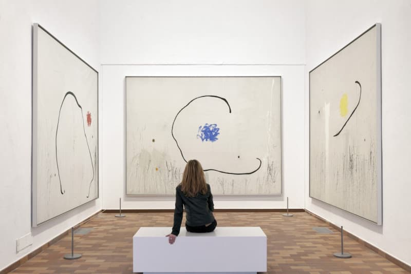 Fundacio Joan Miro Museum