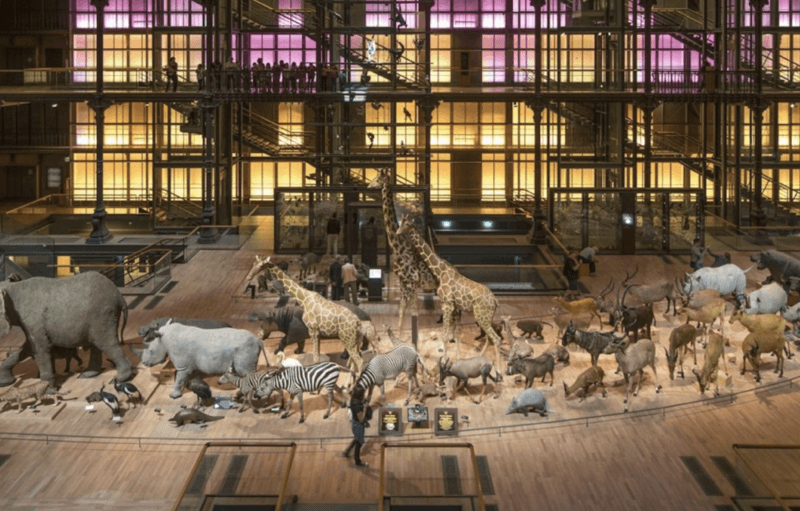 Grande Galerie de l'Évolution