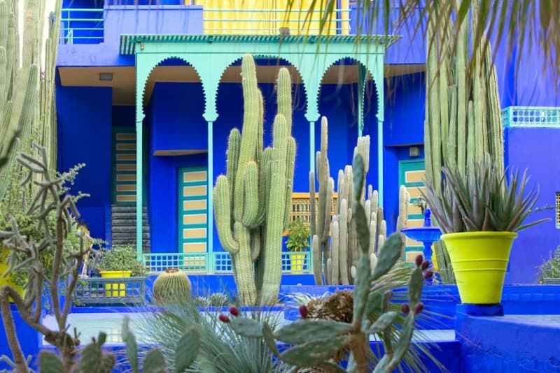 Jardin Majorelle: A Marrakech Oasis