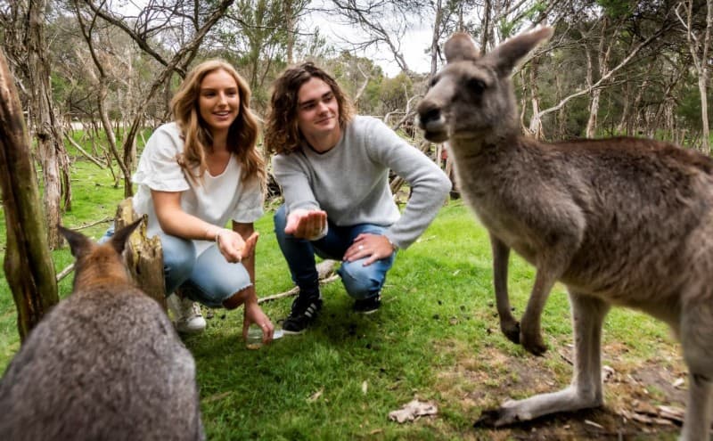 Moonlit Sanctuary Wildlife Conservation Park Ticket