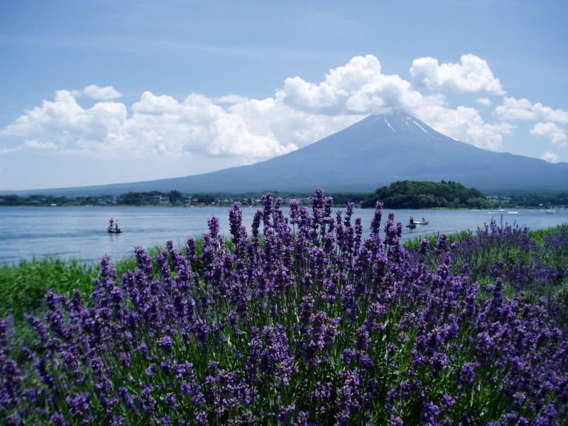 Mount Fuji and Oshino Hakkai Ole Hot Spring Full-Day Tour from Tokyo