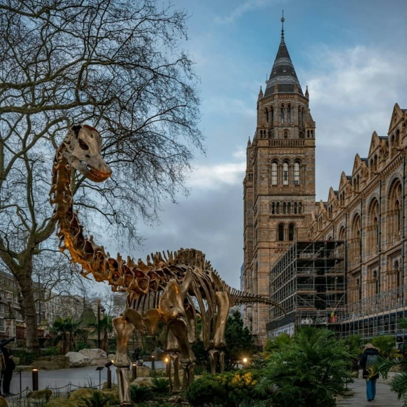 Natural History Museum London