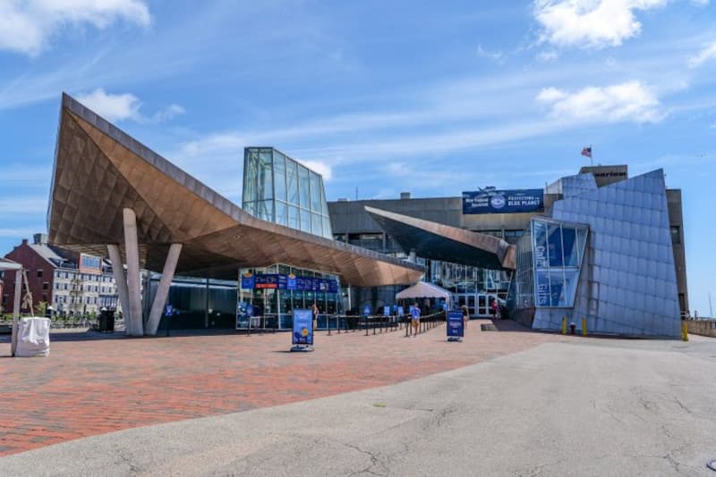 New England Aquarium Ticket