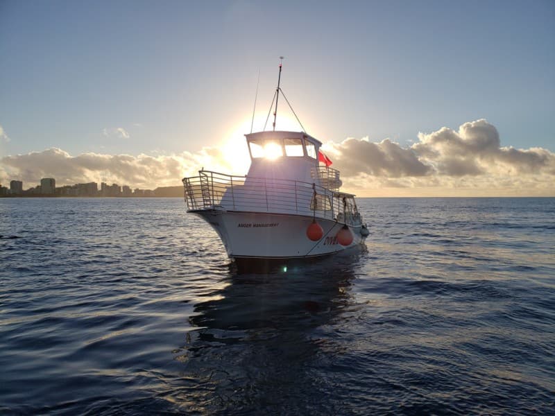 Oahu South Shore Cruise