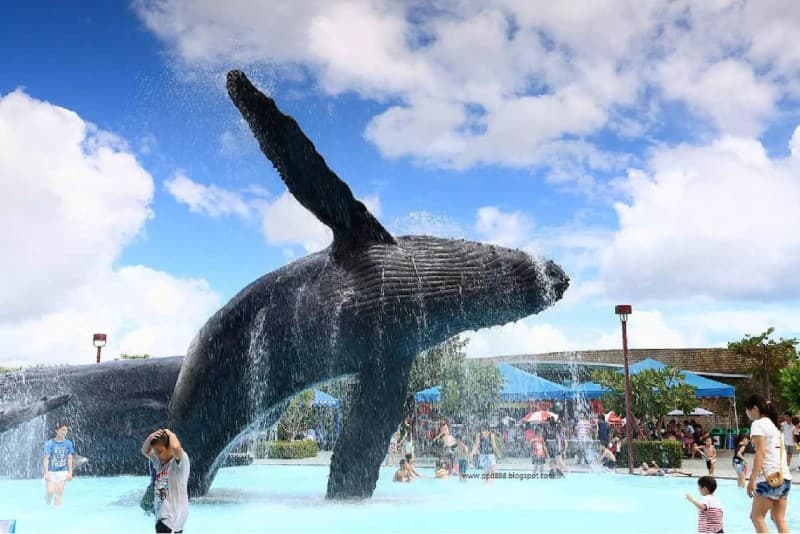 Pingtung National Museum of Marine Biology and Aquarium Ticket