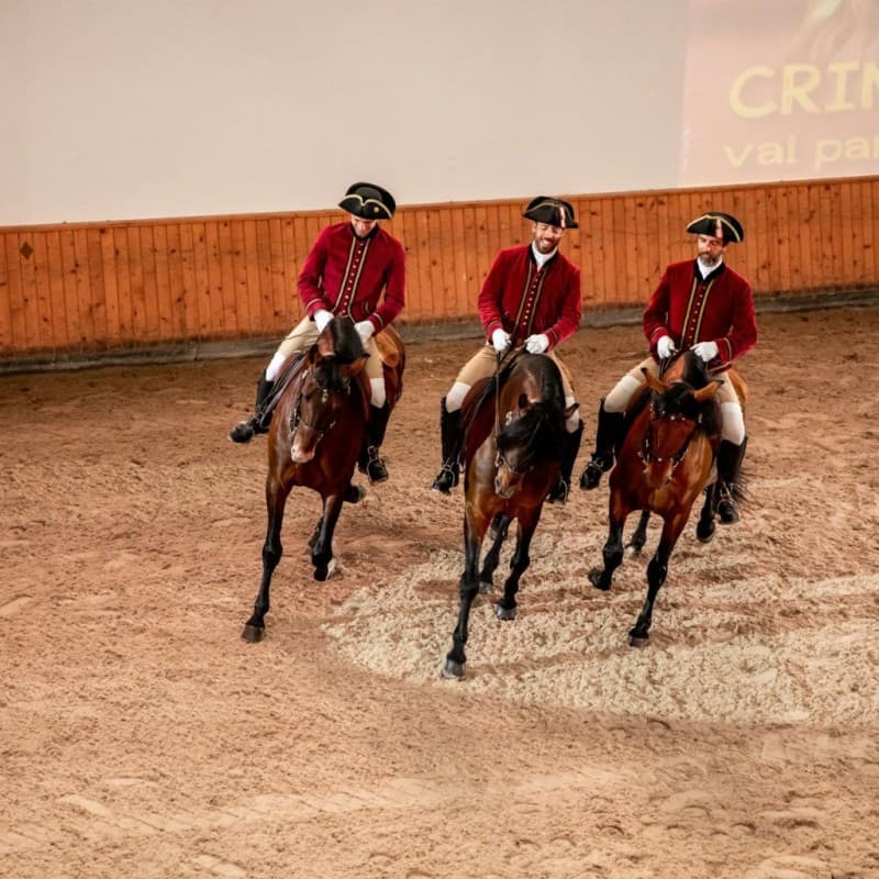 Portuguese School of Equestrian Art