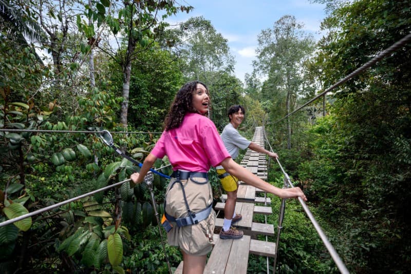 Rainforest Wild Adventure Ticket