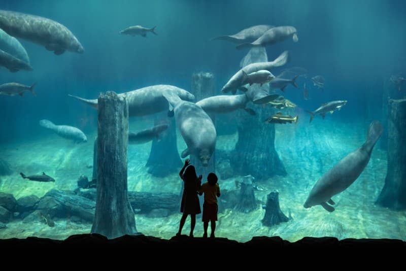 River Wonders Singapore Ticket
