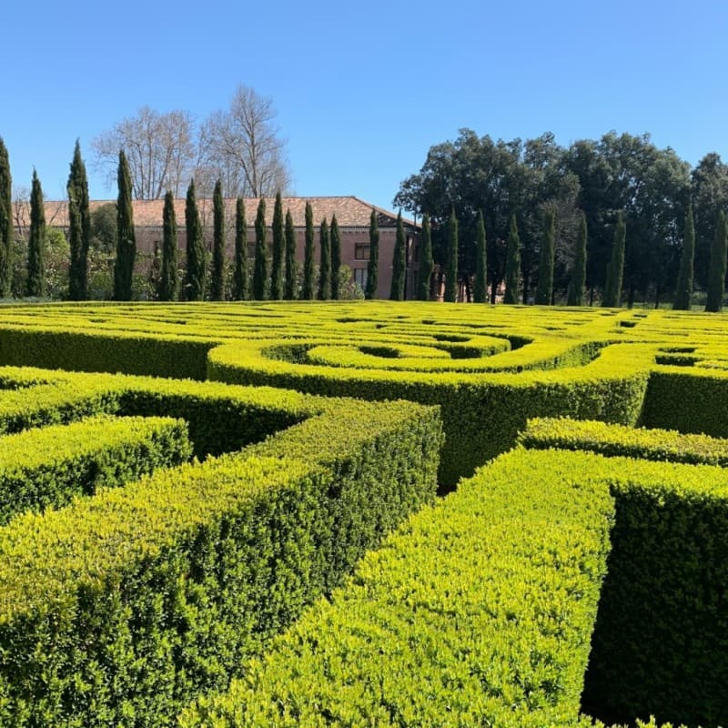 San Giorgio Maggiore Island: Venice's Artistic Retreat
