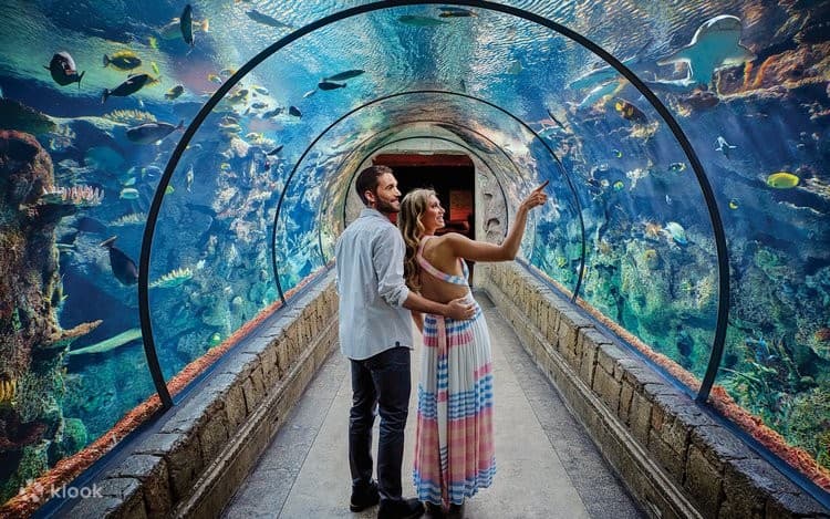 Shark Reef Aquarium at Mandalay Bay
