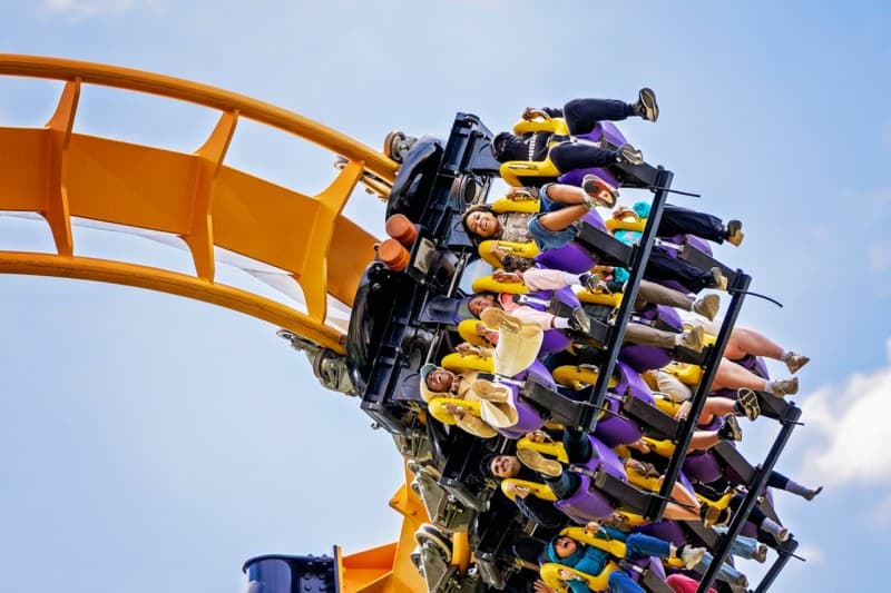 Six Flags Great America Ticket