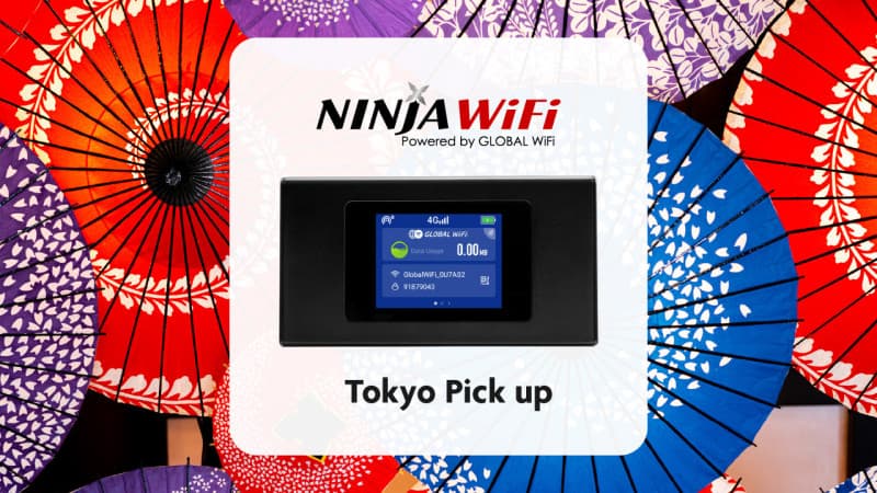 Tokyo, Japan 4G Pocket WiFi Rental