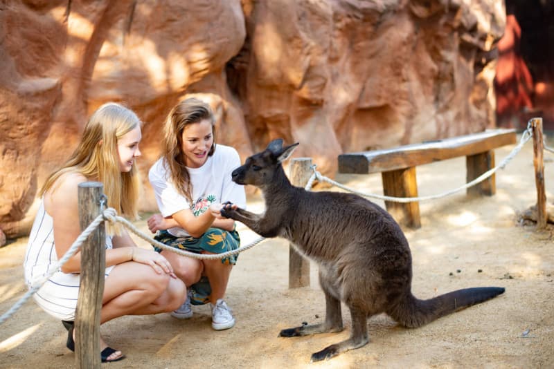 WILD LIFE Sydney Zoo Direct Entry Ticket