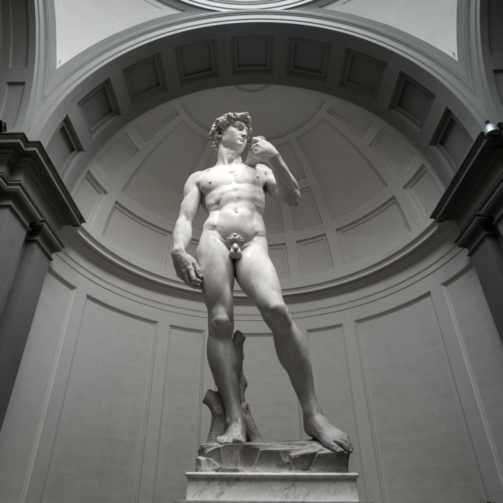 Accademia Gallery: Priority Entry Ticket - Entrance Ticket