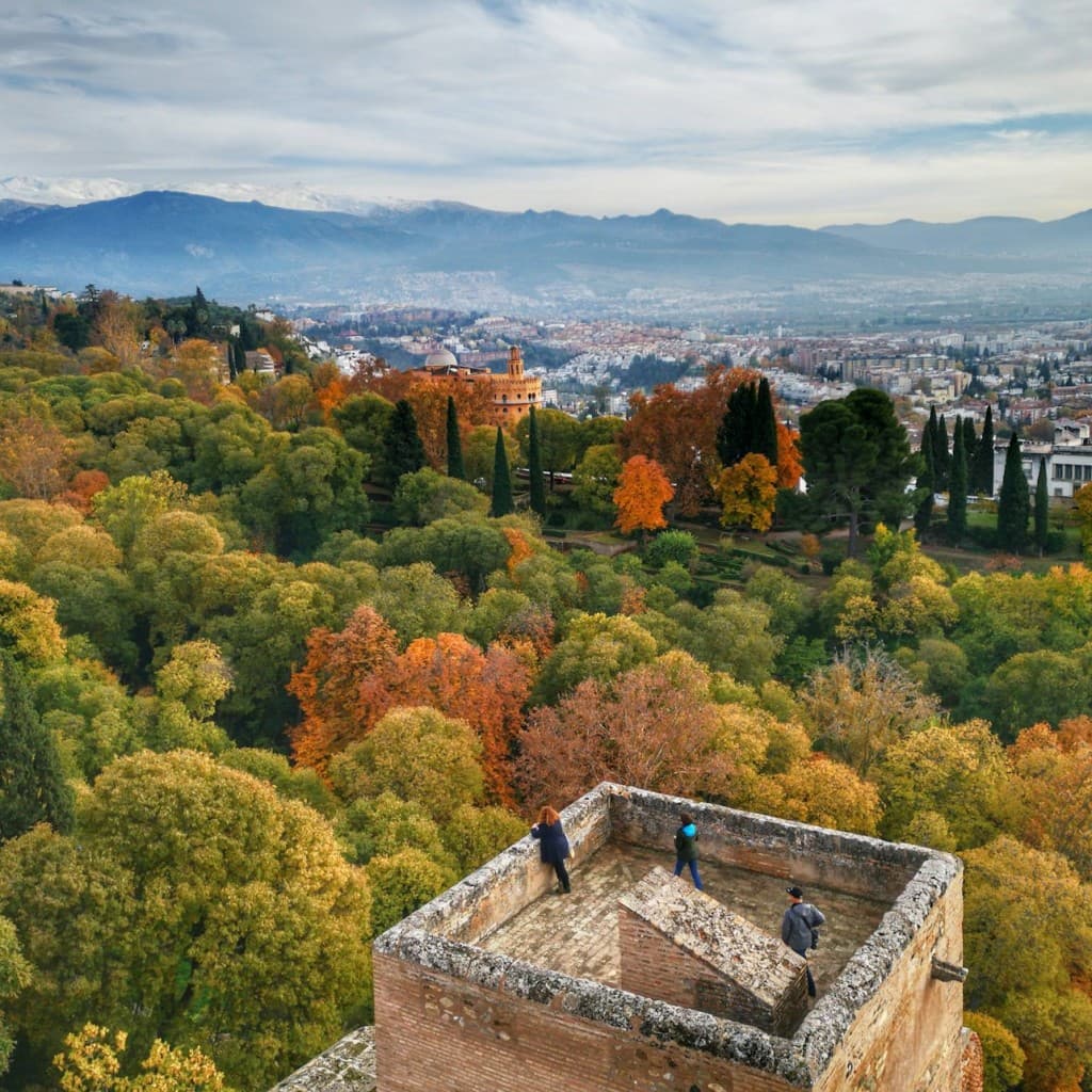 Alhambra & Nasrid Palaces: Guided Tour + Local Food Experience
