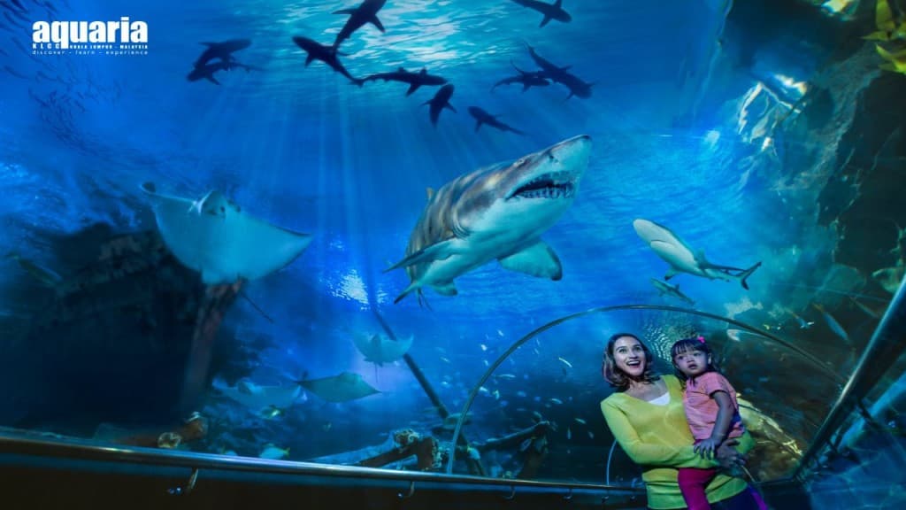 Berjaya Times Square Theme Park Ticket (COMBO: Aquaria KLCC + Berjaya Times Square Theme Park (Weekend and Public Holiday Admission for Malaysian Citizens))