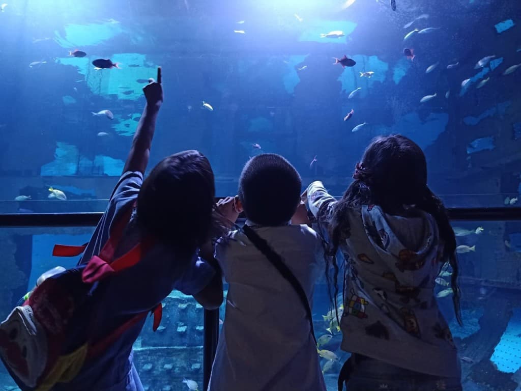 Aquaria Phuket (Aquaria Phuket - Admission (Thai Residents))