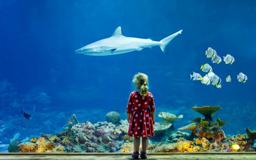 Aquarium de Paris Priority Access Tickets (Low price)