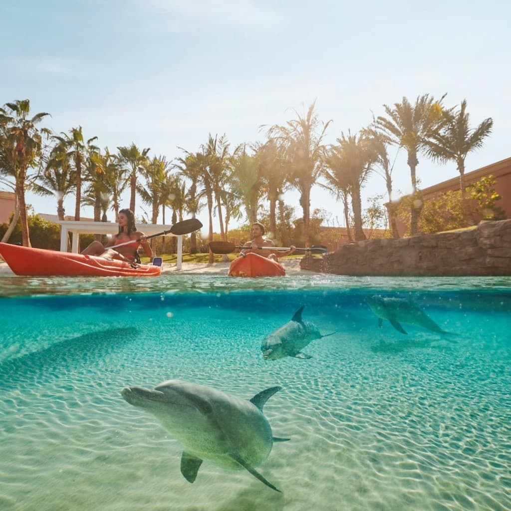 Aquaventure World: Waterpark Day Pass + Dolphin Paddle or Kayak