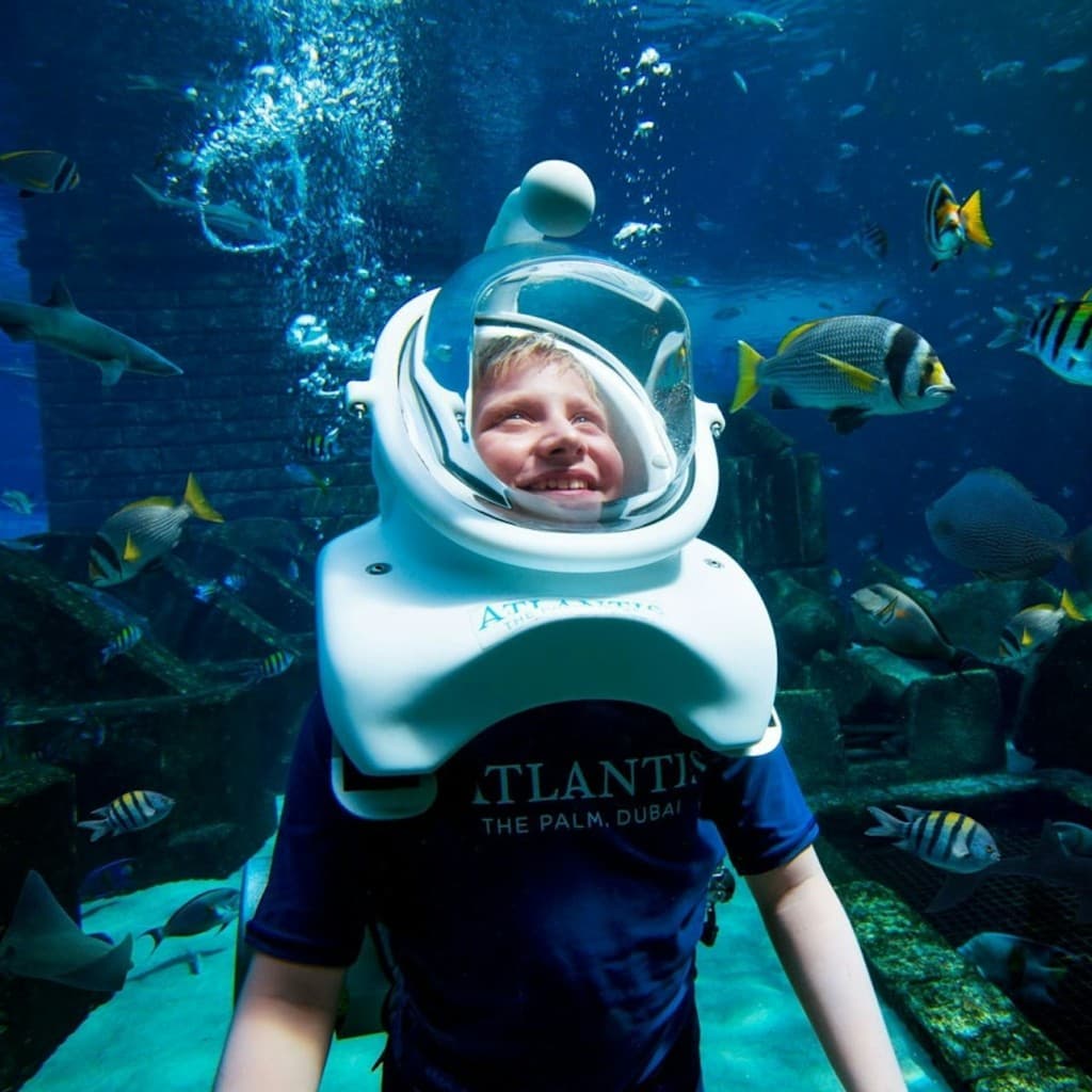 Aquaventure World: Waterpark Day Pass + Shark Snorkel or Safari