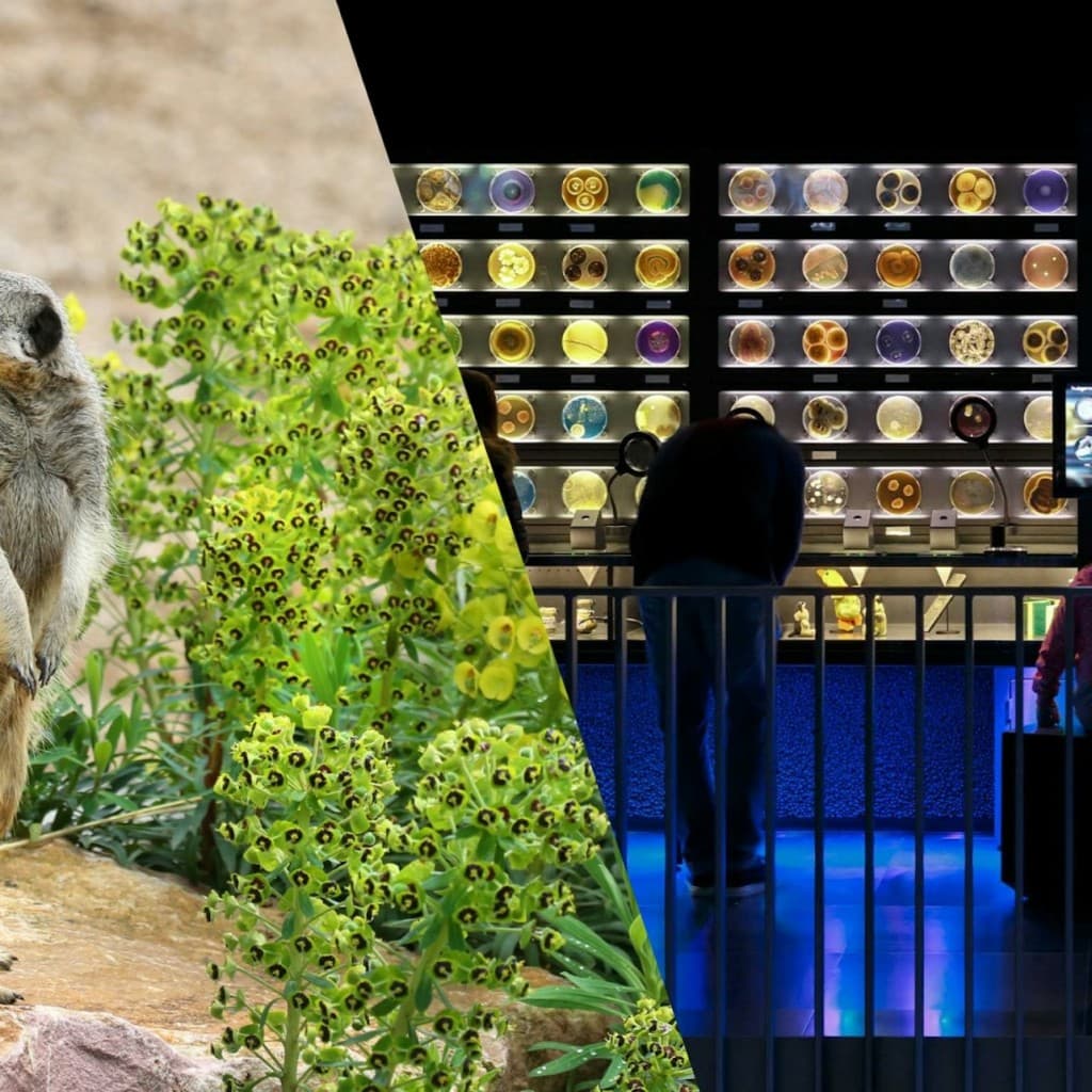 ARTIS Amsterdam Royal Zoo & Micropia: Skip The Line Entry Ticket