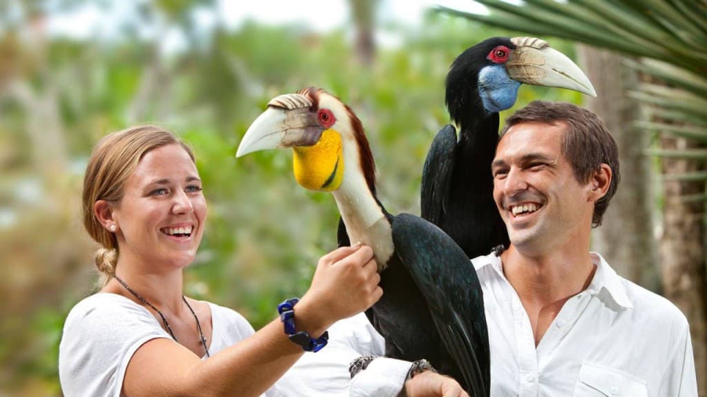 Bali Bird Park Ticket (Bali Bird Park - Admission (Indonesian Citizens))