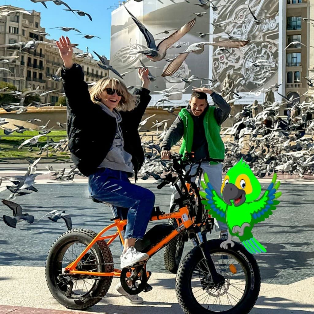 Barcelona City Highlights: Bike or E-Bike Tour - Bike
