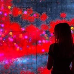 Barcelona: "El Born" Walking Tour + Entry to Picasso and Moco Museums