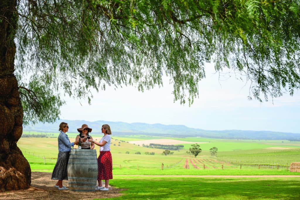 Barossa Valley Wineries and Hahndorf Tour (Barossa Valley Wine Tasting and Hahndorf Tour)