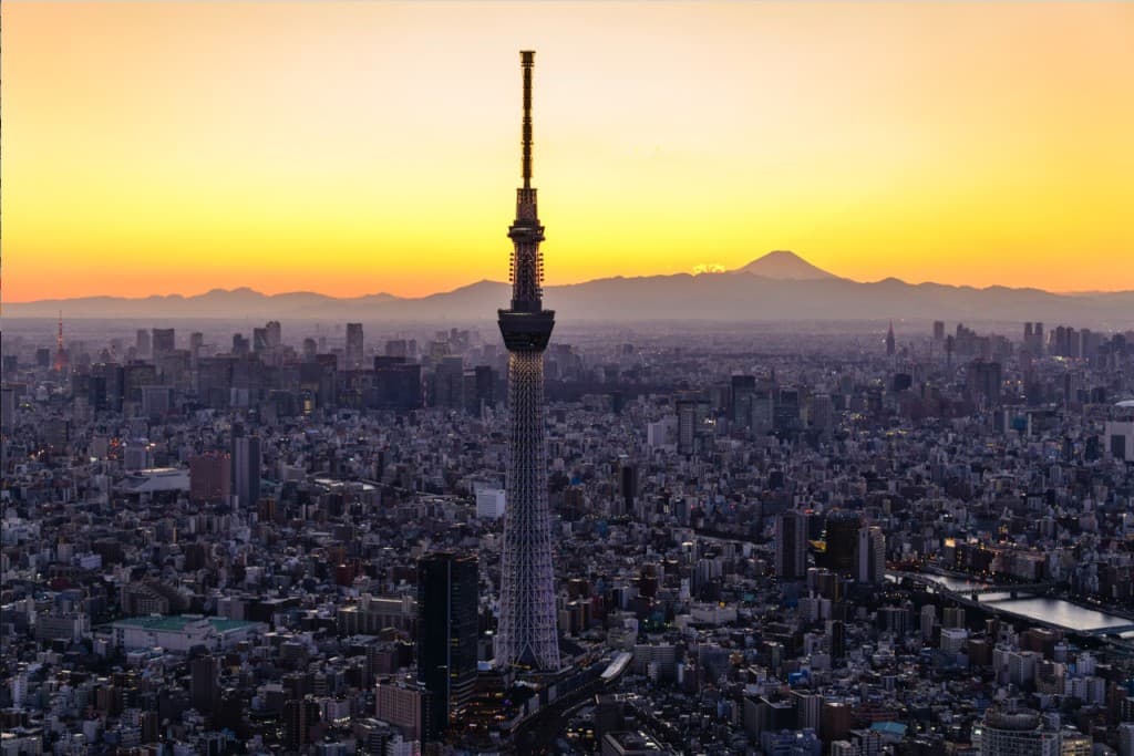 COMBO: Tokyo Skytree + Sumida Aquarium (COMBO: Tokyo Skytree (Tembo Deck and Tembo Galleria) + Sumida Aquarium)