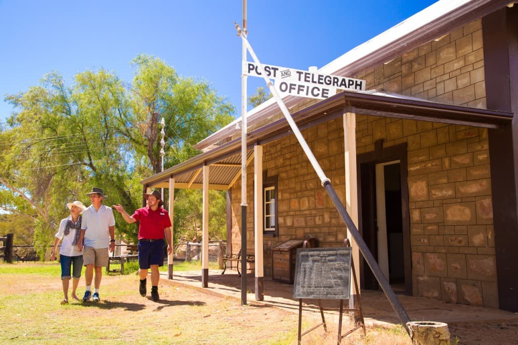 Alice Springs Reptile Centre and City Tour (Alice Springs Reptile Centre + Desert Park Full Day Tour)